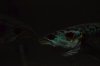 DSC_8472.JPG DSC_8472.JPG