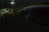 DSC_8744.JPG DSC_8744.JPG
