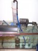fish pics05-07 029.jpg