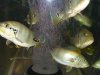 DSC09694.JPG