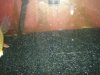 DSC04846.JPG