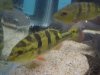 DSC00550.JPG