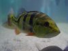 DSC00563.JPG