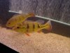 DSC00463.JPG
