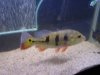 DSC00466.JPG