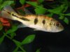 DSC00477.JPG