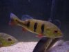 DSC00278.JPG