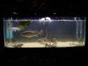 DSC00269.JPG