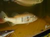 DSC00236.JPG