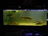 DSC00202.JPG