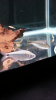Screenshot_2014-05-21-19-18-53.png