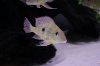IMG_7868#2.JPG