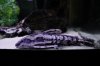IMG_7887#2.JPG
