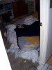 ImageUploadedByMonsterAquariaNetwork1400802236.798127.jpg ImageUploadedByMonsterAquariaNetwork1400802236.798127.jpg