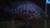 uploadfromtaptalk1400994051781.jpg