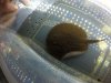 rays may 29 2014 004.jpg