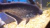 20140530_184707.jpg 20140530_184707.jpg