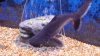 20140530_184801.jpg 20140530_184801.jpg
