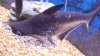 20140530_184816.jpg 20140530_184816.jpg