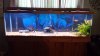 20140530_191614.jpg 20140530_191614.jpg