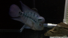 vlcsnap-2014-06-04-03h02m58s94.png