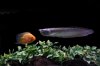 IMG_8185#2.JPG