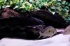 IMG_8234#2.JPG