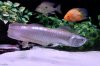IMG_8241#2.JPG