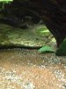 ImageUploadedByMonsterAquariaNetwork1402007675.345915.jpg