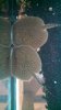 uploadfromtaptalk1402065453726.jpg
