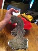 ImageUploadedByMonsterAquariaNetwork1402535394.158099.jpg