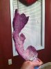 ImageUploadedByMonsterAquariaNetwork1402539993.200375.jpg