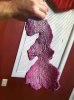 ImageUploadedByMonsterAquariaNetwork1402540033.961844.jpg
