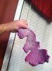 ImageUploadedByMonsterAquariaNetwork1402540051.154318.jpg