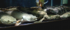 2014-06-26 21.26.27.png