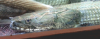 2014-06-29 22.41.19.png