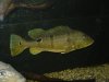 DSC00021.JPG