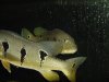 DSC00023.JPG