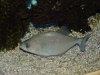 DSC00025.JPG