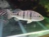 DSC02300.JPG