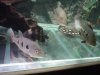 DSC02294.JPG