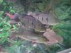 DSC02166.JPG
