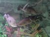 DSC02156.JPG