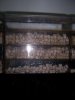 Unsorted 016.jpg