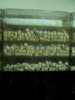 Unsorted 017.jpg