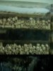 Unsorted 018.jpg