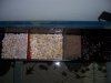 Unsorted 023.jpg