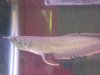 DSCN0469.JPG