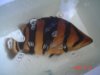 DSC01278.JPG