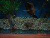 DSC01389.JPG